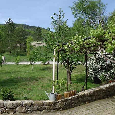 Joelle Et Daniel Bed and Breakfast Entrevaux Buitenkant foto
